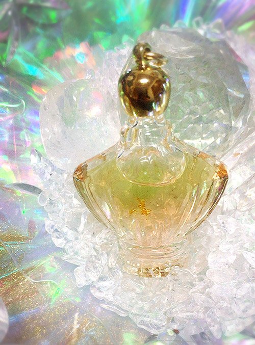 占い師珠笑琉のお気に入り写真1